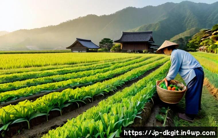 슬로우 라이프를 위한 농업과의 관계 - Photorealistic sunrise scene in rural Japan, a relaxed middle-aged farmer in simple work clothes har...